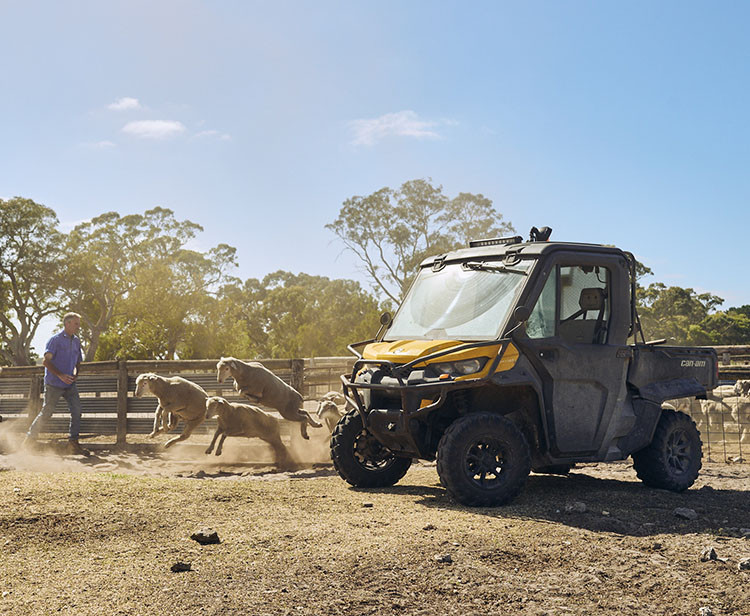 Defender X mr HD10